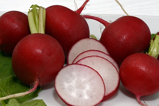 Daleko větší zásobárnu vitamínů mají ředkvičkové klíčky