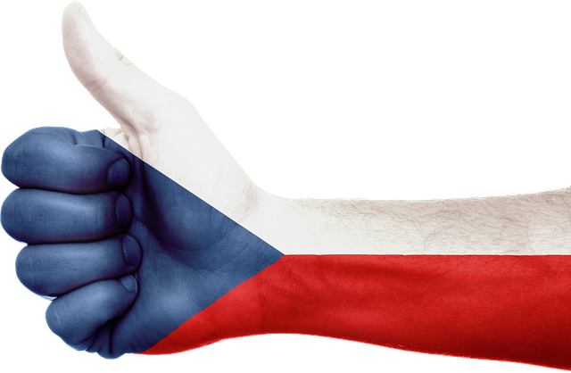 Čeští podnikatelé si ve své práci moc nevěří